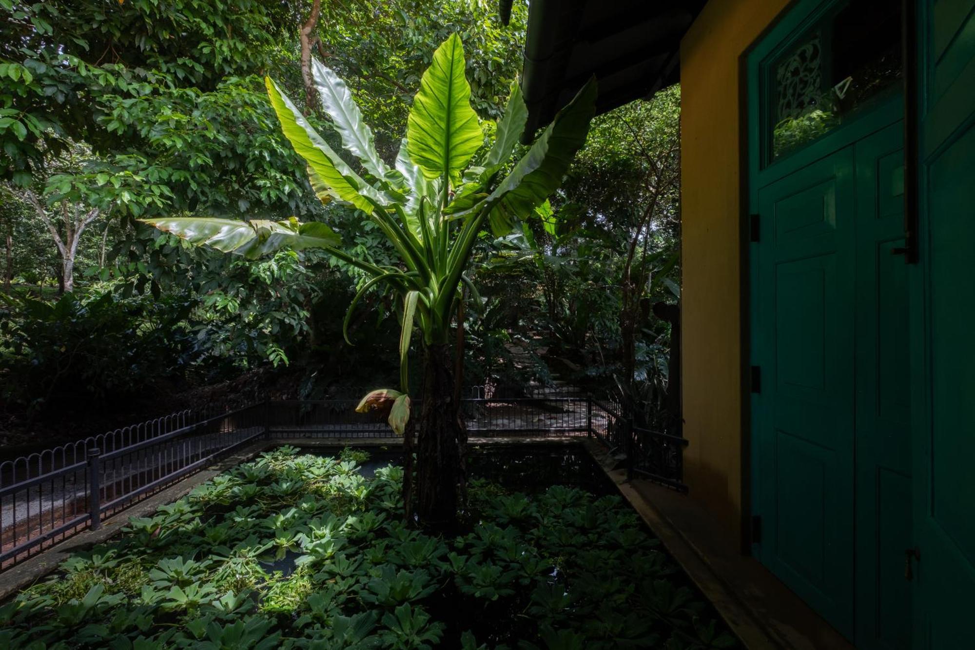 Casa Heliconia Gampaha Exterior foto